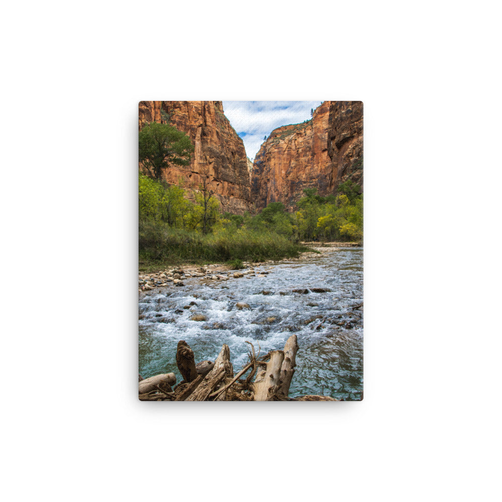 River of Zion - Canvas Print