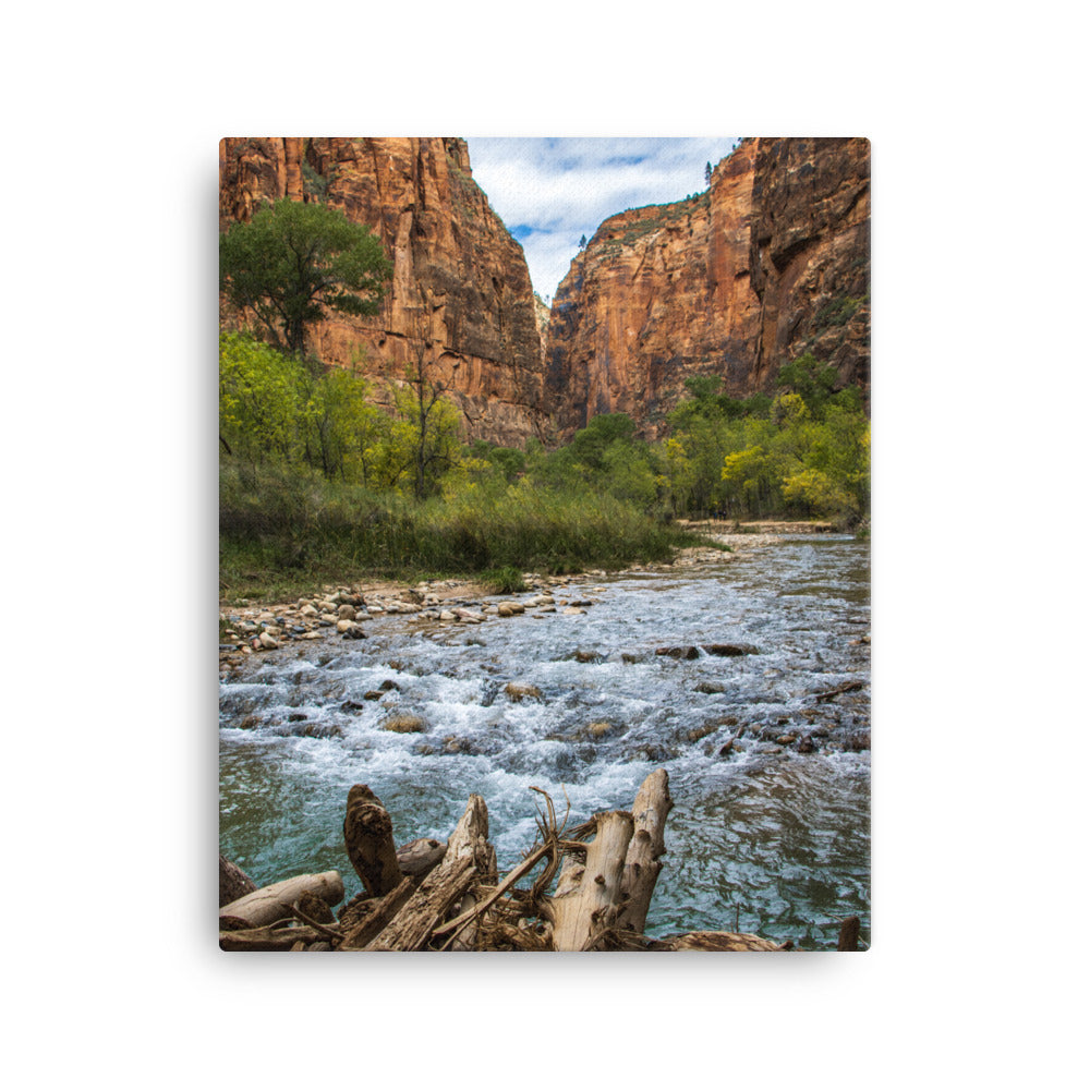 River of Zion - Canvas Print